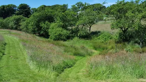 Strawfields