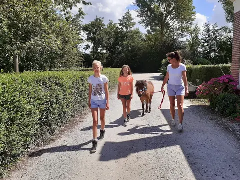 Boerderijcamping Zuiderhoeve