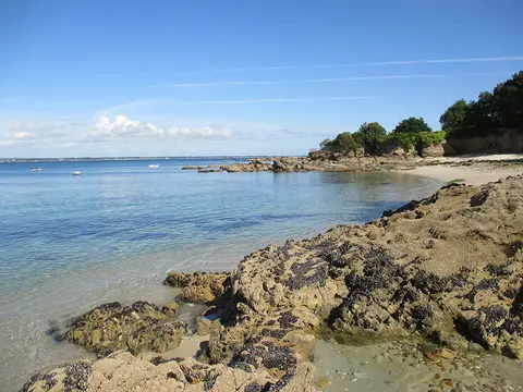 Camping les Mimosas