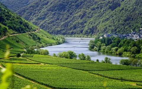 Wohnmobilstellplatz Weingut Schlossmühle