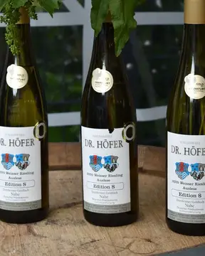 Wohnmobilstellplatz Weingut Schlossmühle