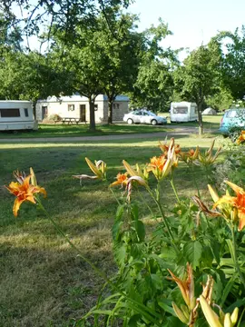Ferme Camping de la Ribardière