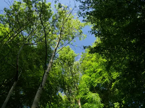 Camping municipal du Gardon