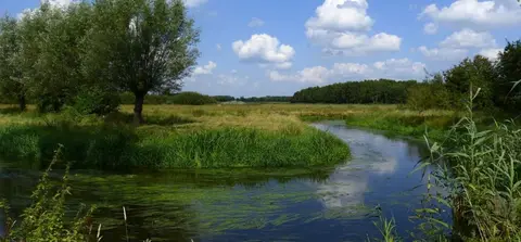 De Volmolen