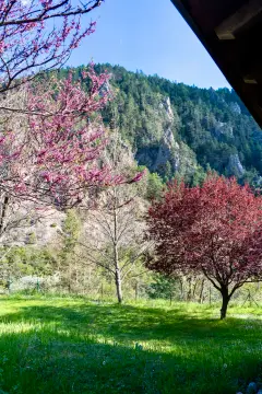 Camping le Cians