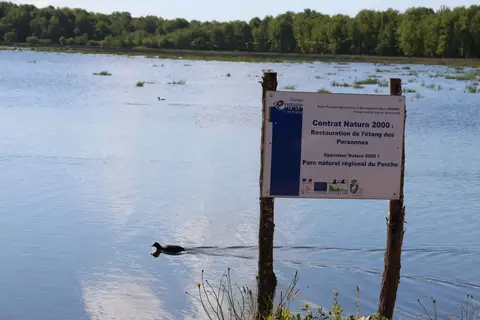 Aire de service de la Croix des Chênes - Bretoncelles