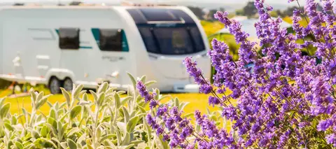 Trewiston Farm Caravan Park