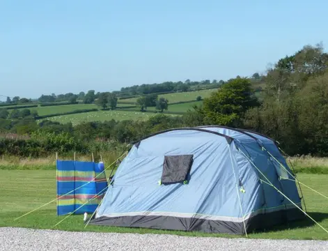 Lowtrow Cross
