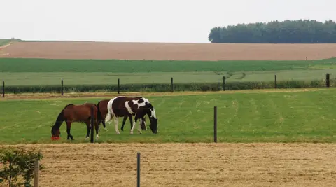 La Ferme du Vert Marais aire pour camping-cars