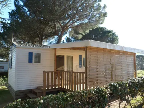 Les Pins / Le Congo