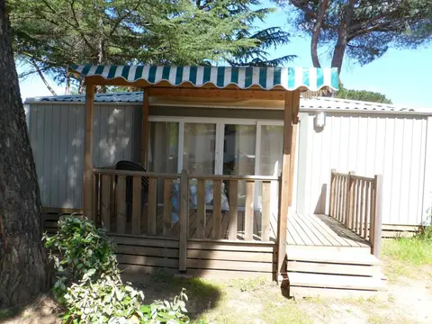 Les Pins / Le Congo