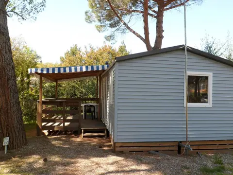 Les Pins / Le Congo