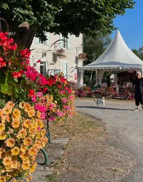 Camping l'Ecluse Des Combles