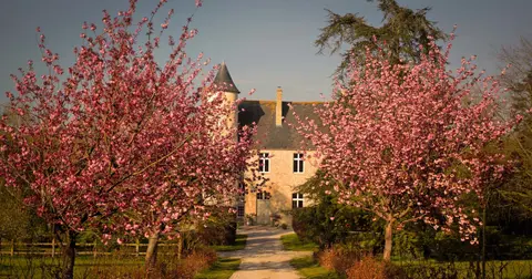 Le Château de Monfréville