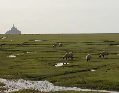 Camping La Baie du Mont Saint-Michel