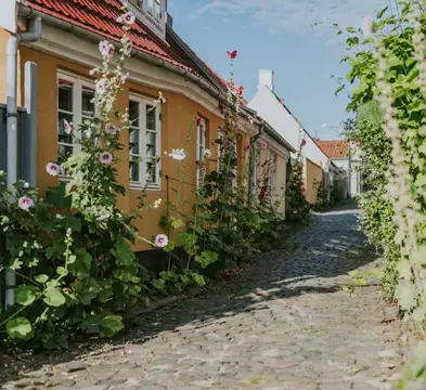 Autocamperpladsen ved Skjoldnæs Fyr