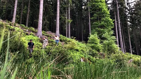 Paalkampeerterrein Weleveld