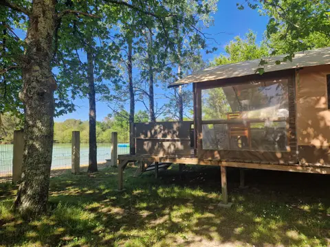 Le Chêne du lac