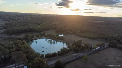 Le Chêne du lac