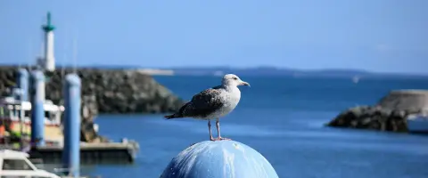 Camping L'Océan