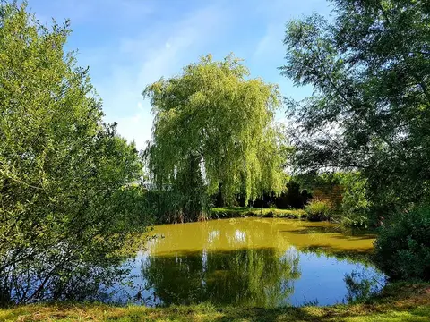L'Eden Avesnois