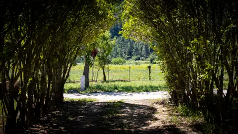 Camping de Tautavel