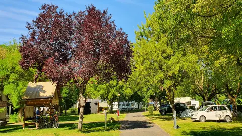 Camping des Pâtis