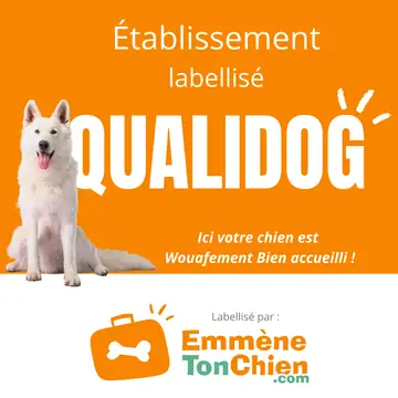 Camping des Pâtis