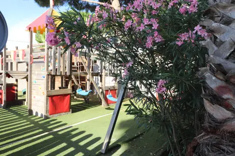 Pédro