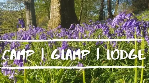 Bluebell Coppice Park