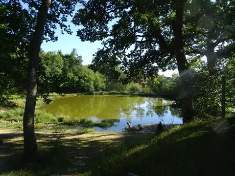 Camping Les Mésanges