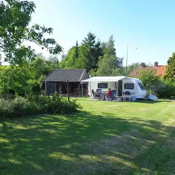 Boshoven
