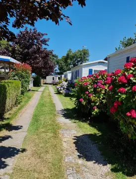 Camping La petite ville