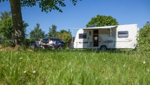 Les Bois du Bardelet