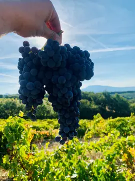Domaine de Lucena