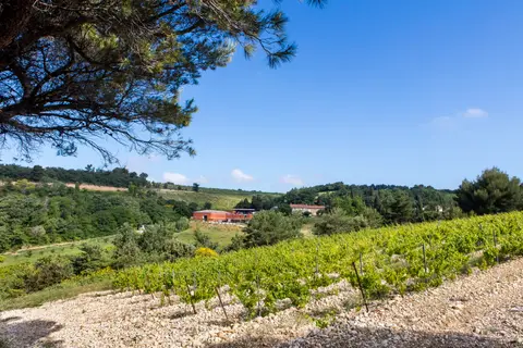 Domaine de Lucena