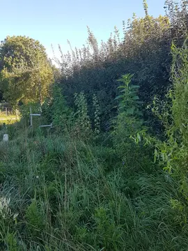 Stal 't Lage Veld