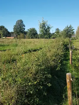 Stal 't Lage Veld