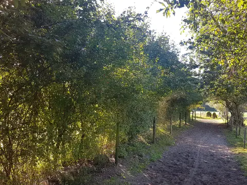 Stal 't Lage Veld