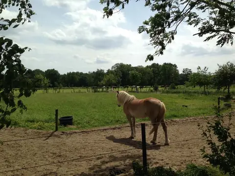 Stal 't Lage Veld