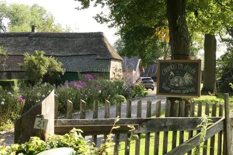 d'n Hendrik