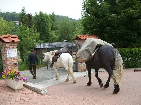 Il Melo