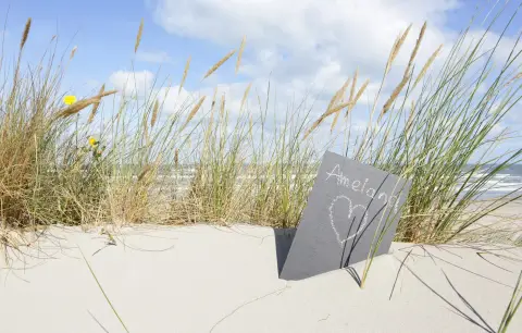 Duinoord Zuid Little Canvas Escape