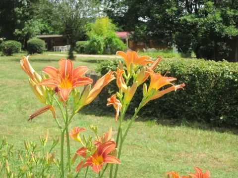 Camping naturiste familial La Breur