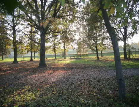 Alba Village