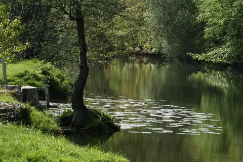 Aire de Saint Céneri le Gérei