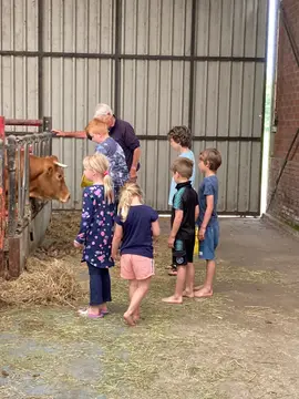 Het Poolse Kruis