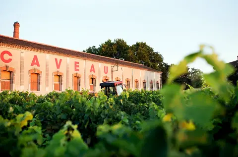 Domaine de Montcalm