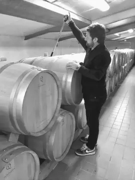 Vignobles Guillaume Bergeon