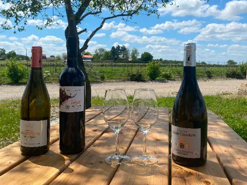 Vignoble du Champ Chapron